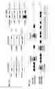 Fig. 02 - Molecular switch regulating neurogenesis