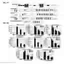 Fig. 07 - Molecular switch regulating neurogenesis