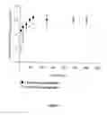 Fig. 06 - Polyglutamine repeat sequences