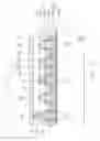 Fig. 07 - Non-volatile memory device