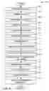 Fig. 02 - Method of forming low stress multi-layer metallurgical structures and high reliable lead free solder termination electrodes