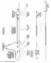 Fig. 16 - Film forming method