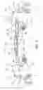 Fig. 05 - Wheel suspension and retraction system