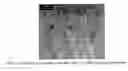 Fig. 14 - Shear thickening fluid containment in polymer composites