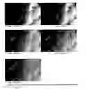 Fig. 16 - Shear thickening fluid containment in polymer composites