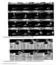 Fig. 37 - Shear thickening fluid containment in polymer composites