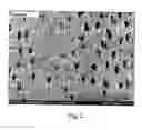 Fig. 03 - Permselective membrane and process for manufacturing thereof