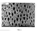 Fig. 04 - Permselective membrane and process for manufacturing thereof