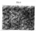 Fig. 03 - Three-dimensional nonwoven fabric with improved loft and resiliancy
