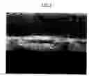 Fig. 05 - Three-dimensional nonwoven fabric with improved loft and resiliancy
