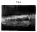 Fig. 06 - Three-dimensional nonwoven fabric with improved loft and resiliancy