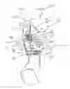 Fig. 01 - Doll having head and upper torso interchangeable on doll bodies and styling bases
