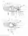 Fig. 02 - Doll having head and upper torso interchangeable on doll bodies and styling bases