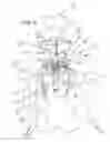 Fig. 04 - Doll having head and upper torso interchangeable on doll bodies and styling bases