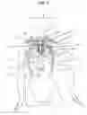 Fig. 05 - Doll having head and upper torso interchangeable on doll bodies and styling bases