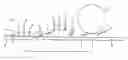 Fig. 01 - Method and apparatus for use in removal of internal bones in a fore-end