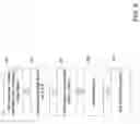 Fig. 05 - Method and system for distributed roaming services for mobile users on wireless mesh networks