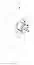 Fig. 02 - CLUTCH FOR POWER TOOL