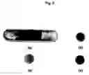 Fig. 03 - Preparation of solid oxide fuel cell electrodes by electrodeposition