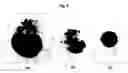 Fig. 10 - Preparation of solid oxide fuel cell electrodes by electrodeposition