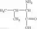 Fig. 46 - Mannich condensation products useful as sequestering agents