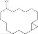 Fig. 11 - Cyclopropanated macrocyclic ketones and lactones