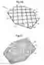 Fig. 04 - Hydrophilic polyurethane foam articles comprising an antimicrobial compound