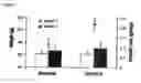 Fig. 03 - Method of stimulating growth and resistance to diseases of aquatic organisms