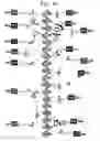 Fig. 04 - Structure of a complex of retinoblastoma protein bound to e2f, and uses thereof