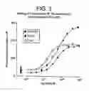 Fig. 06 - Structure of a complex of retinoblastoma protein bound to e2f, and uses thereof