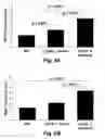 Fig. 09 - Methods for improving the structure and function of arterioles