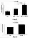 Fig. 10 - Methods for improving the structure and function of arterioles