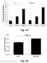 Fig. 12 - Methods for improving the structure and function of arterioles