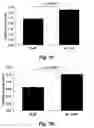 Fig. 13 - Methods for improving the structure and function of arterioles