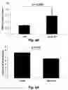 Fig. 16 - Methods for improving the structure and function of arterioles