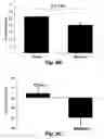Fig. 17 - Methods for improving the structure and function of arterioles
