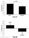 Fig. 19 - Methods for improving the structure and function of arterioles