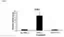 Fig. 04 - Method of reversing epithelial mesenchymal transition