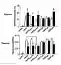 Fig. 07 - Methods for modulating neuronal responses