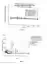 Fig. 06 - Oral insulin therapy