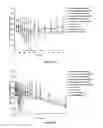 Fig. 09 - Oral insulin therapy