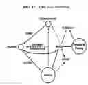Fig. 48 - Methods for treating and preventing cancers that express the hypothalamic-pituitary-gonadal axis of hormones and receptors