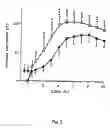 Fig. 04 - Use
