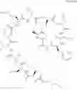 Fig. 07 - Antitumoral compounds