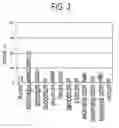 Fig. 04 - Human sodium-dependent bile acid transporter proteins