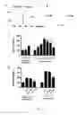 Fig. 10 - Embryo implantation inhibitor