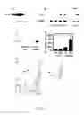 Fig. 12 - Embryo implantation inhibitor
