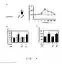 Fig. 15 - Embryo implantation inhibitor
