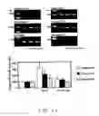 Fig. 17 - Embryo implantation inhibitor
