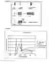Fig. 02 - Nucleic acid ligands and uses therefor